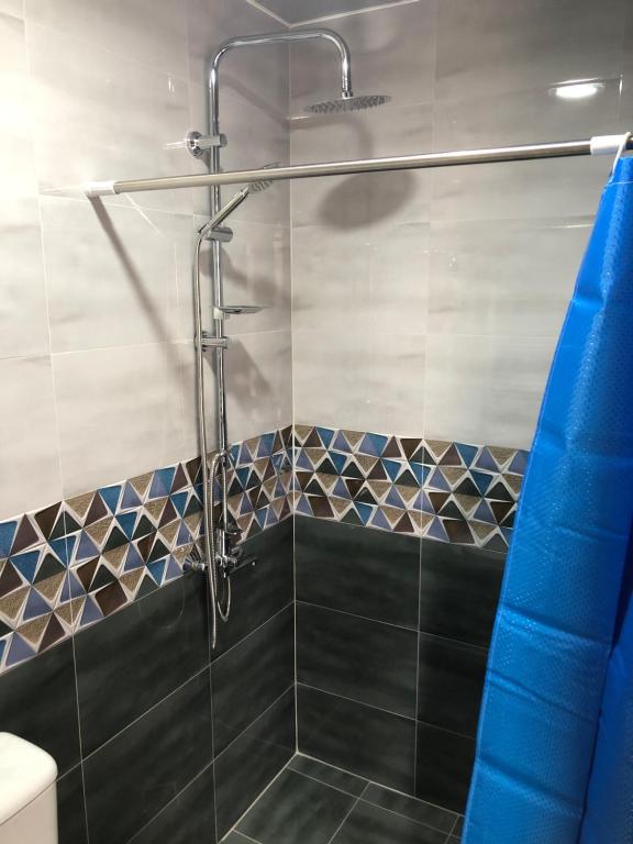 卡兹贝吉Wander Kazbegi Hotel的浴室内配有蓝色淋浴帘