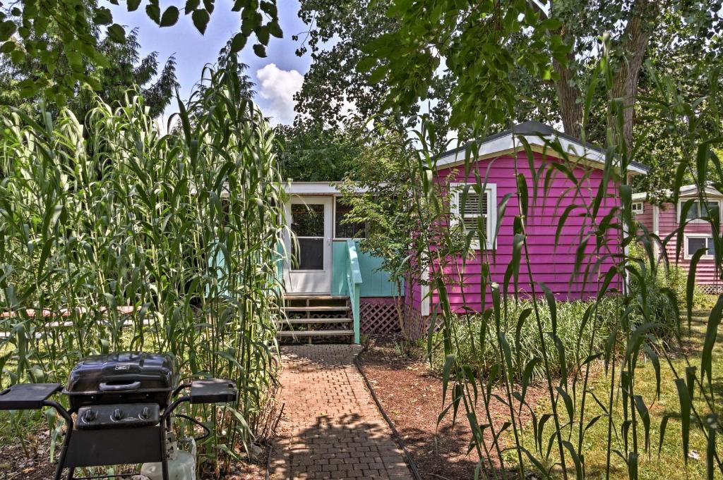 普廷贝Cozy Middle Bass Cabin with Grill and Lagoon Access!的花园中的一个粉红色和蓝色的大篷车