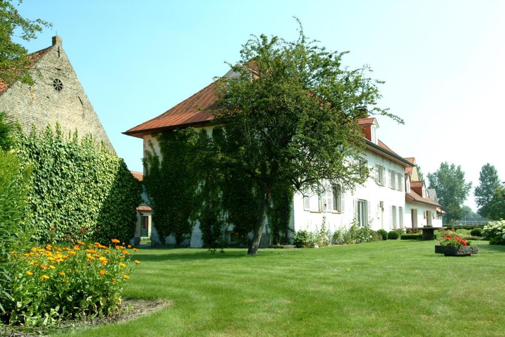布鲁日德珂夫度假别墅的院子中一棵树的白色大房子