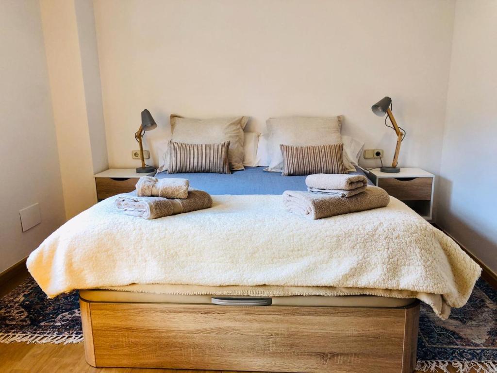 卡尼略Cases de Canillo-Casa Sant Serni HUT1-7478的一间卧室配有一张大床和两个枕头