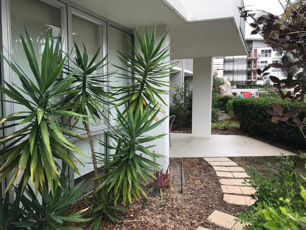 耐莉湾Euodia Unit 1102的两棵棕榈树在房子前面