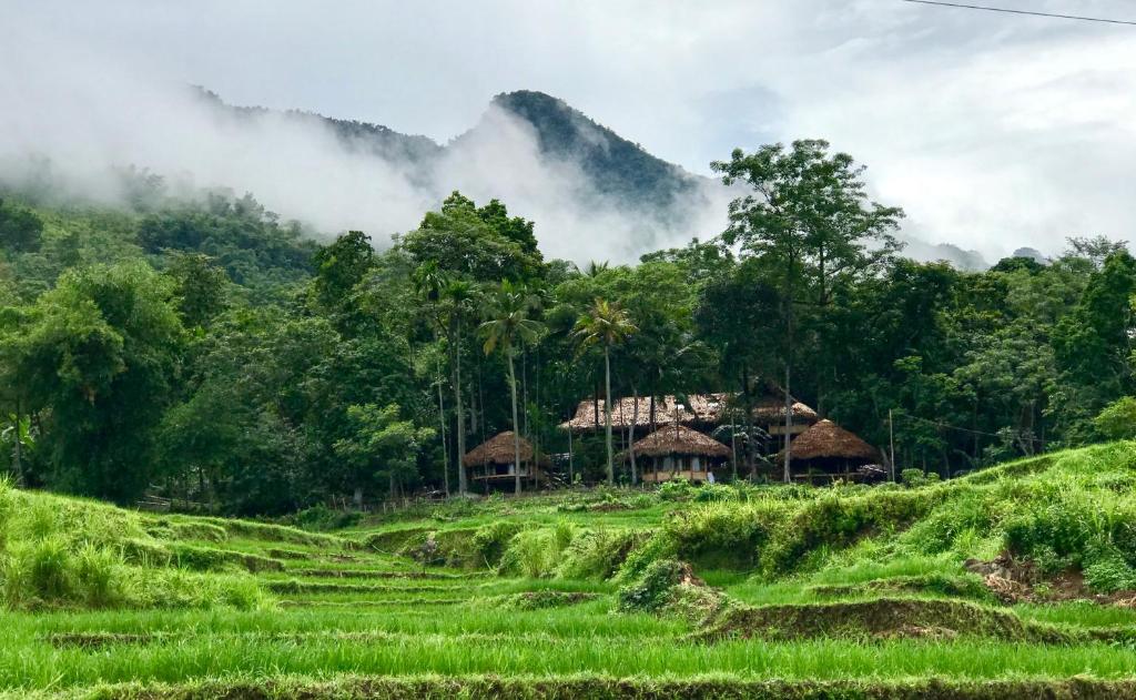 山林小屋周边自然景观