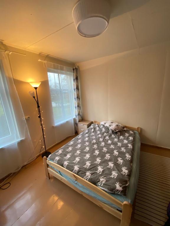 VecumniekiBright and cosy place at rustic house的一间卧室配有床、灯和窗户