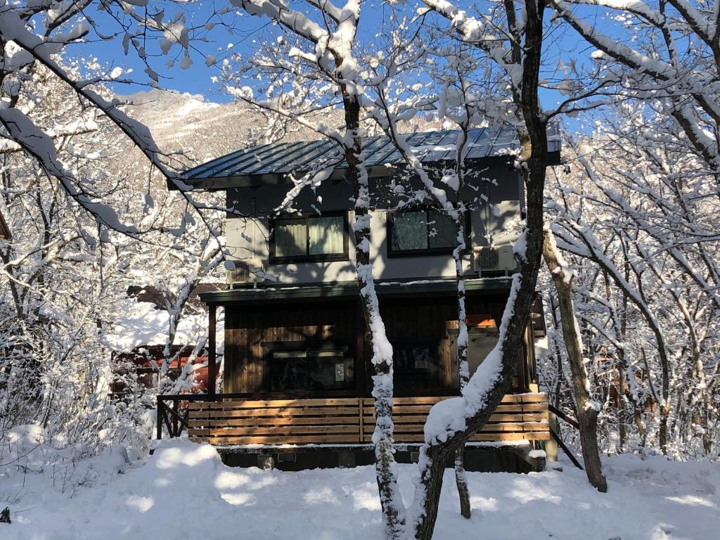 白马村Ryder's House with FREE use of 4wd car的树林中的木屋