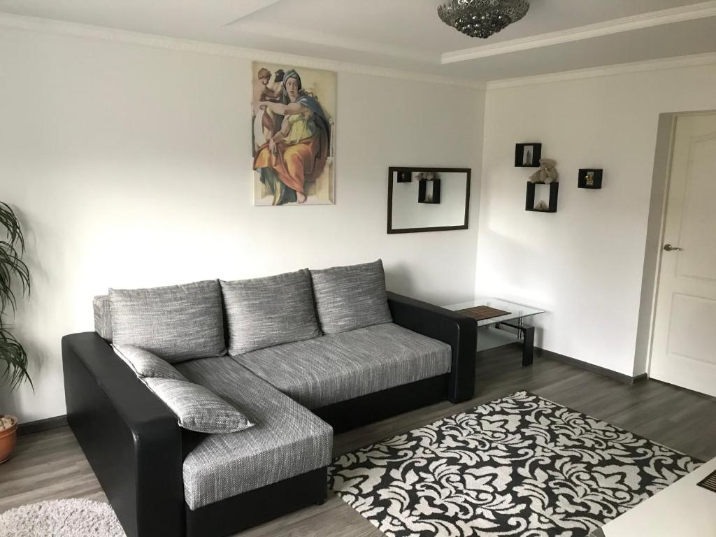 叶尔加瓦Fine Apartment的带沙发和地毯的客厅