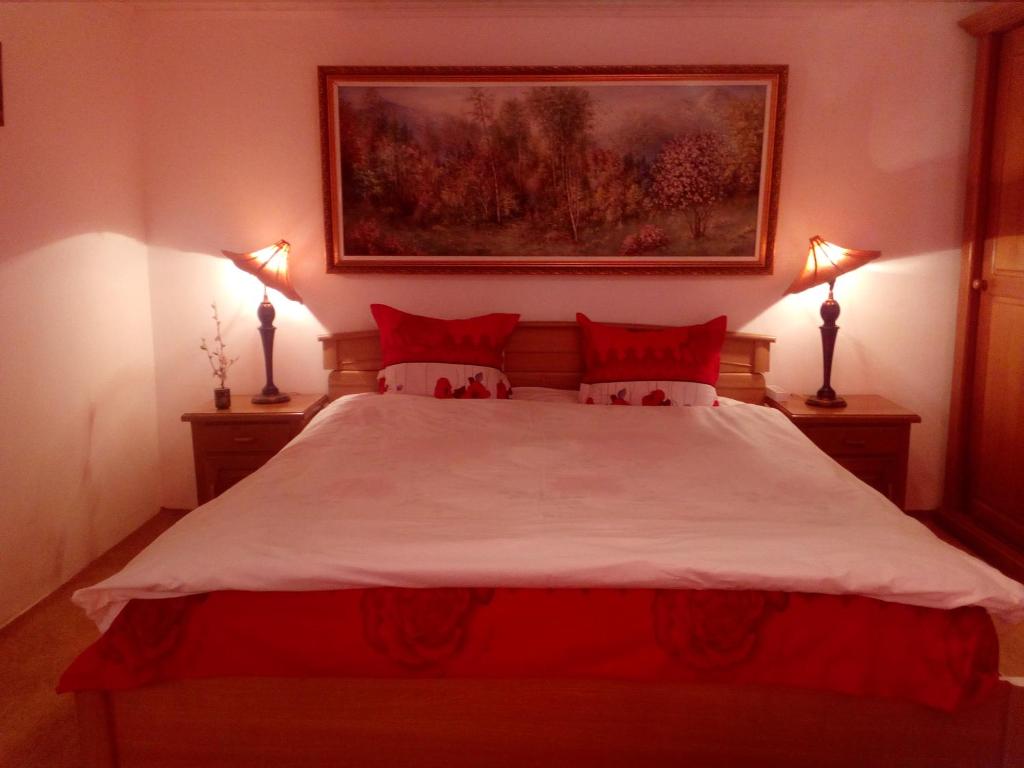PrejmerPensiunea Magnolia的一间卧室配有一张带红色枕头的大床