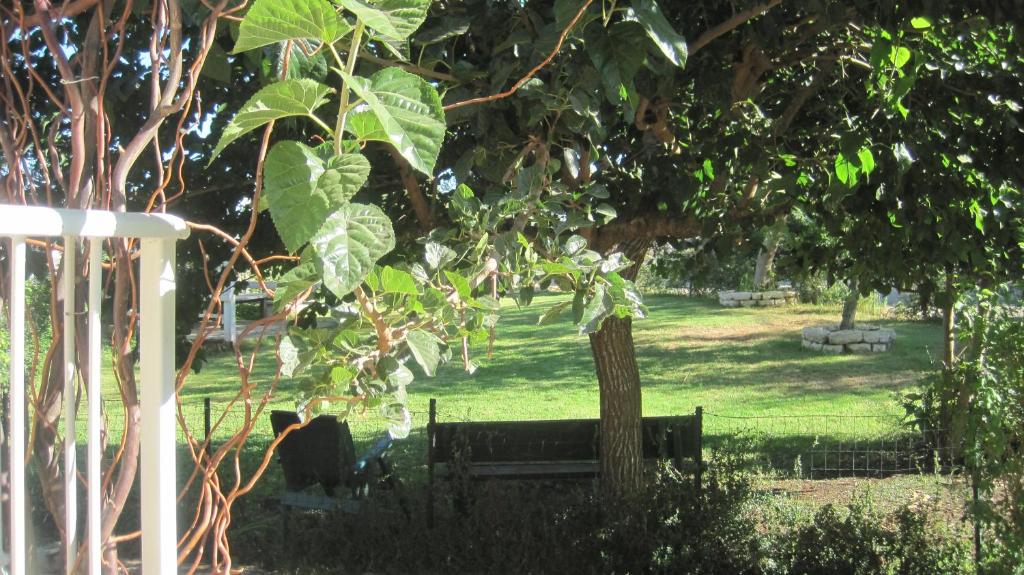 内韦伊兰The House By The Mulberry Tree的树下设有长凳的公园