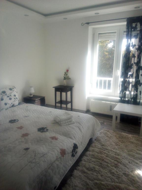 多瑙新城Rozinka apartman的一间卧室设有一张床和一个窗口