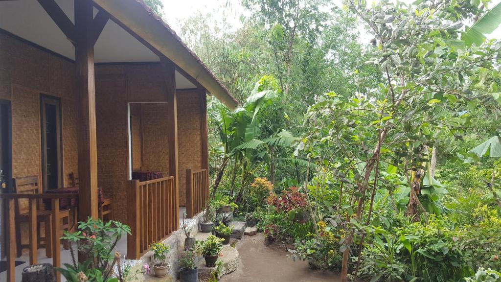特特巴图特特巴图英达民宿的一座花园,旁边是一座房子,种植了植物和树木