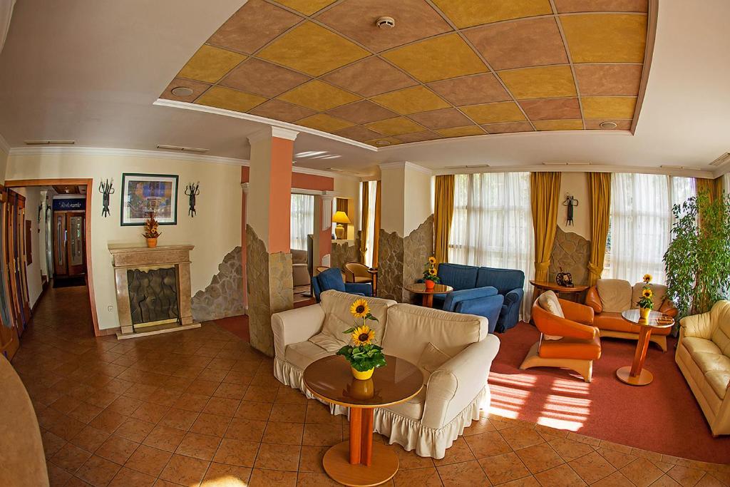 布达佩斯地中海酒店的客厅配有家具和壁炉