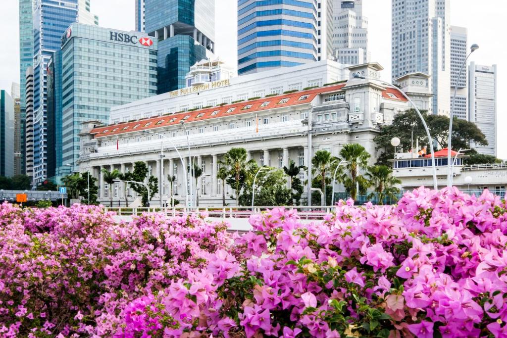 新加坡The Fullerton Hotel Singapore的大楼前的一束粉红色的花