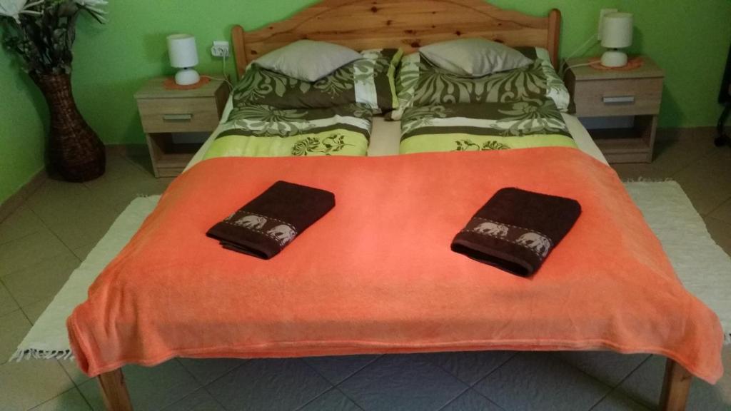 NemesdédZeg-zug Vendégház的一间卧室配有一张带两个枕头的床