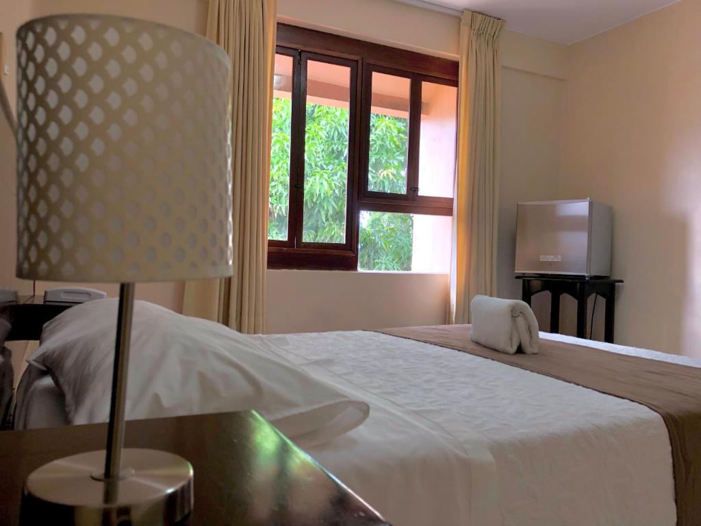 塔拉波托Hotel Monte Azul的一间卧室配有一张带灯和窗户的床