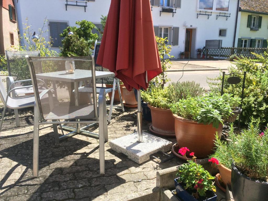 ErmatingenIdyllische Ferienwohnung am See的一张桌子,上面有红伞和一些植物