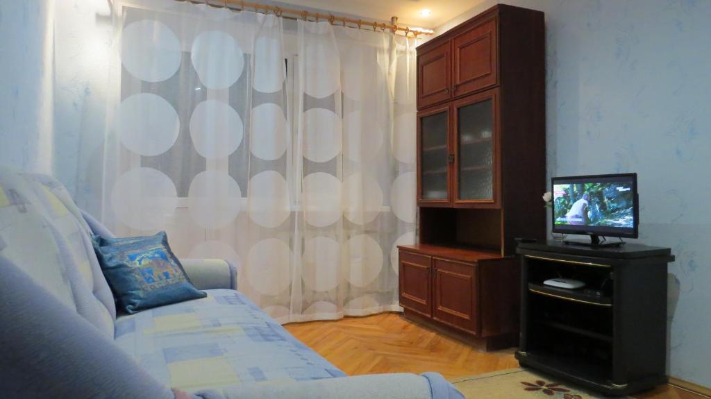 热列兹诺沃德斯克Apartment on Lenina的带沙发和电视的客厅