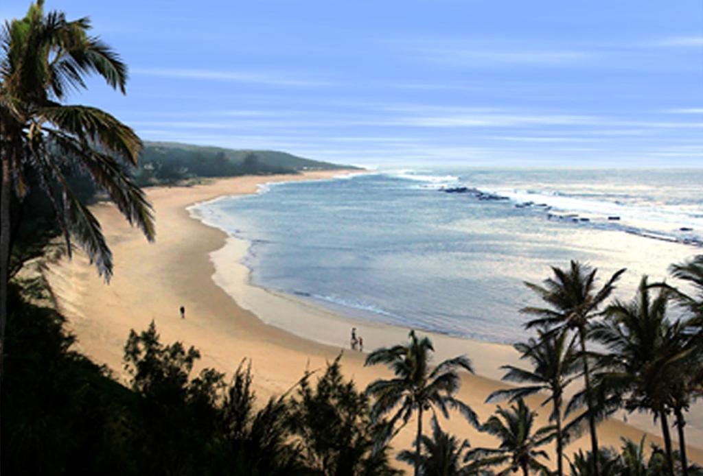 赛赛Go Wild Resort的享有棕榈树海滩和大海的景色