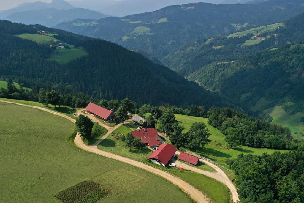 LjubnoFarmstay&Glamping Visočnik的享有山区农场的空中景色