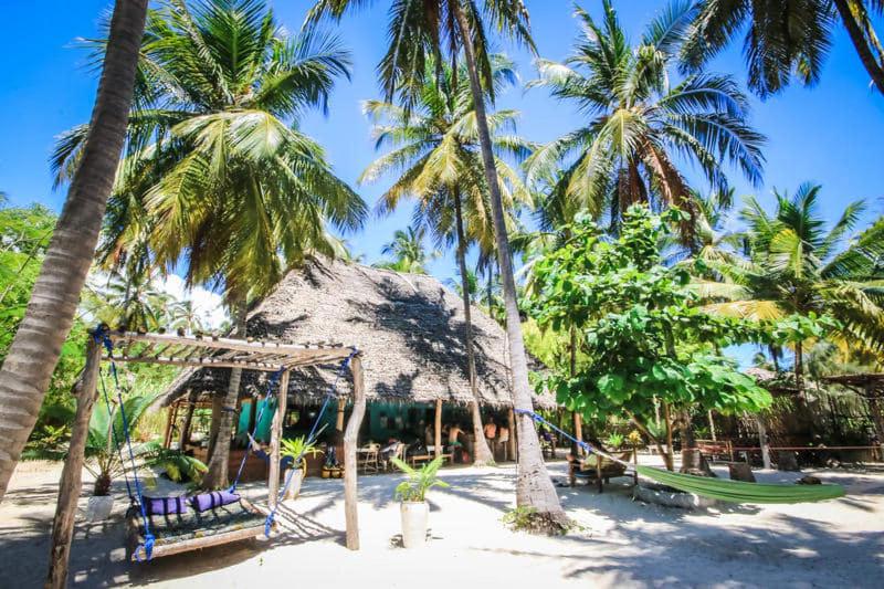 帕杰Your Zanzibar Place的棕榈树海滩上的秋千和小屋
