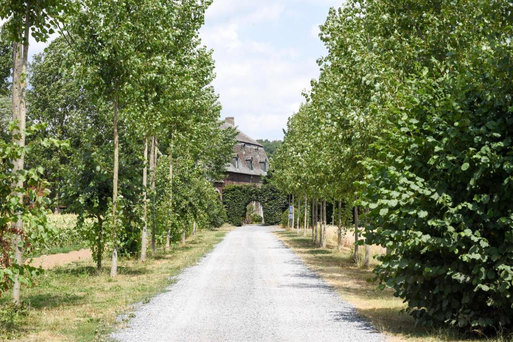 瓦夫尔B&B La Ferme de l'Hosté的果园里一条有树木的道路