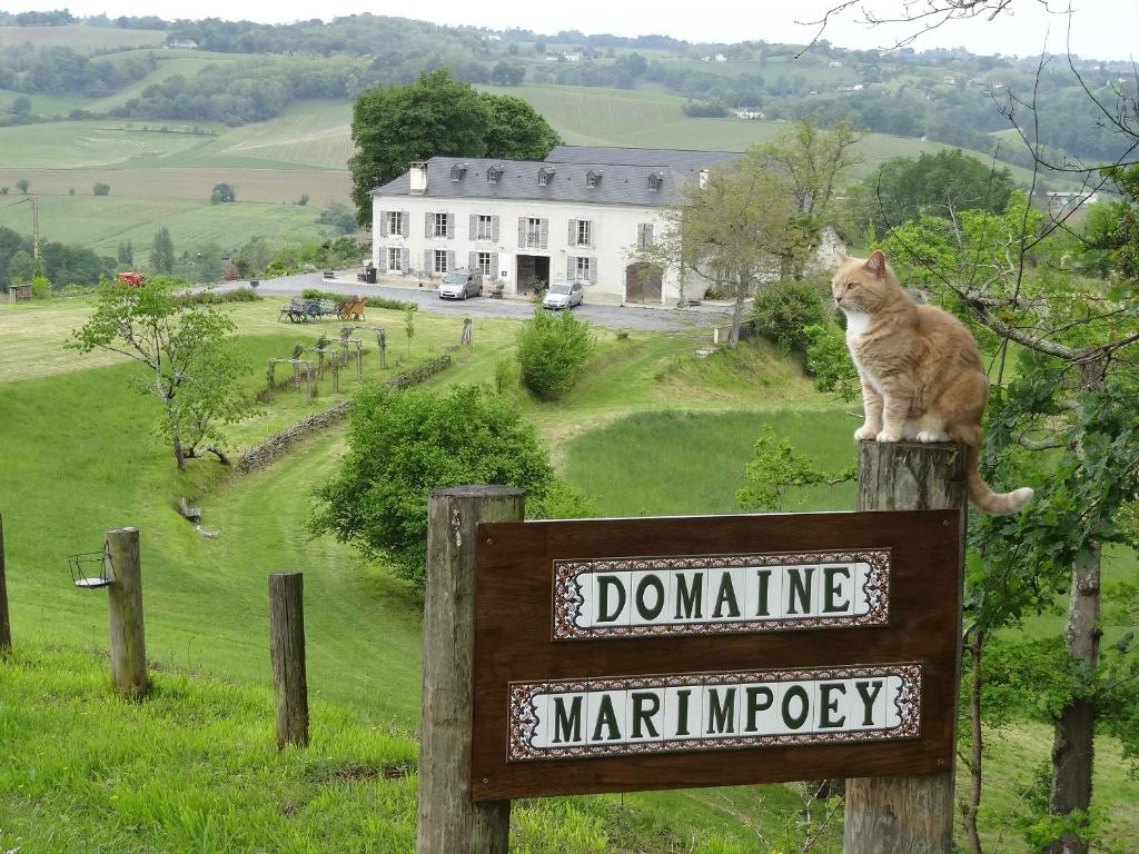 莫南Maison d'hôtes Marimpoey的一只猫坐在标志上