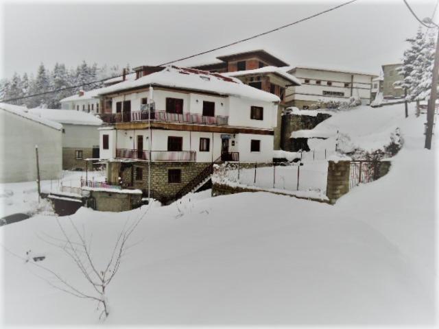 美特索文Hotel Acropolis Metsovo的一群下雪的房屋