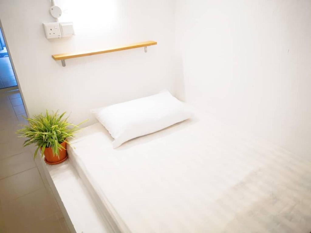 古晋Sunset Homestay - Backpacker Hostel Self Checkin的上面有枕头和植物的白色柜台