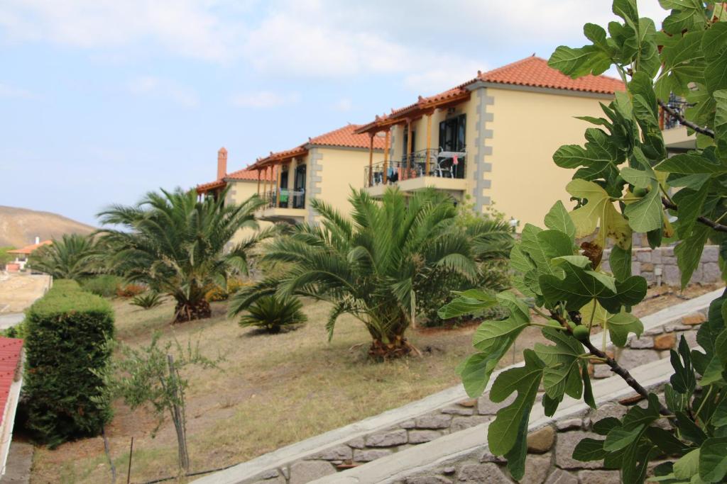 Agios Ioannis KaspakaStudios Edem的前面有棕榈树的房子