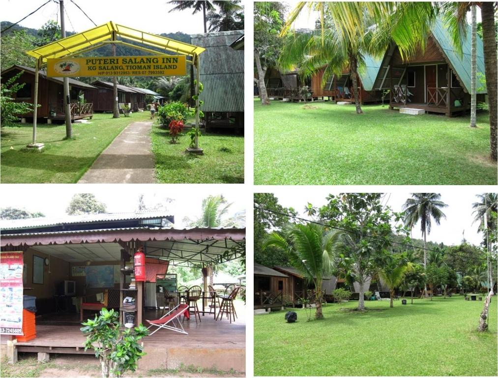刁曼岛Puteri Salang Inn的棕榈树度假村四张照片的拼贴