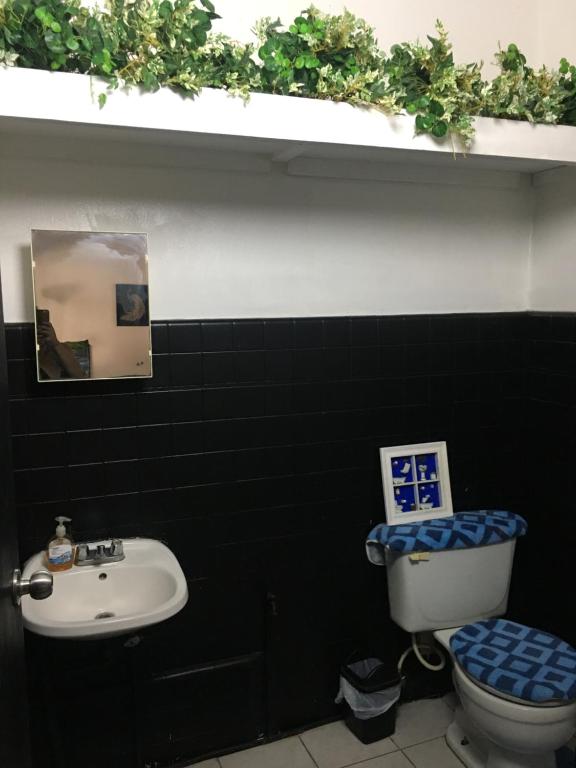 阿瓜迪亚MEDUSA'S HOSTEL的黑色浴室设有卫生间和水槽