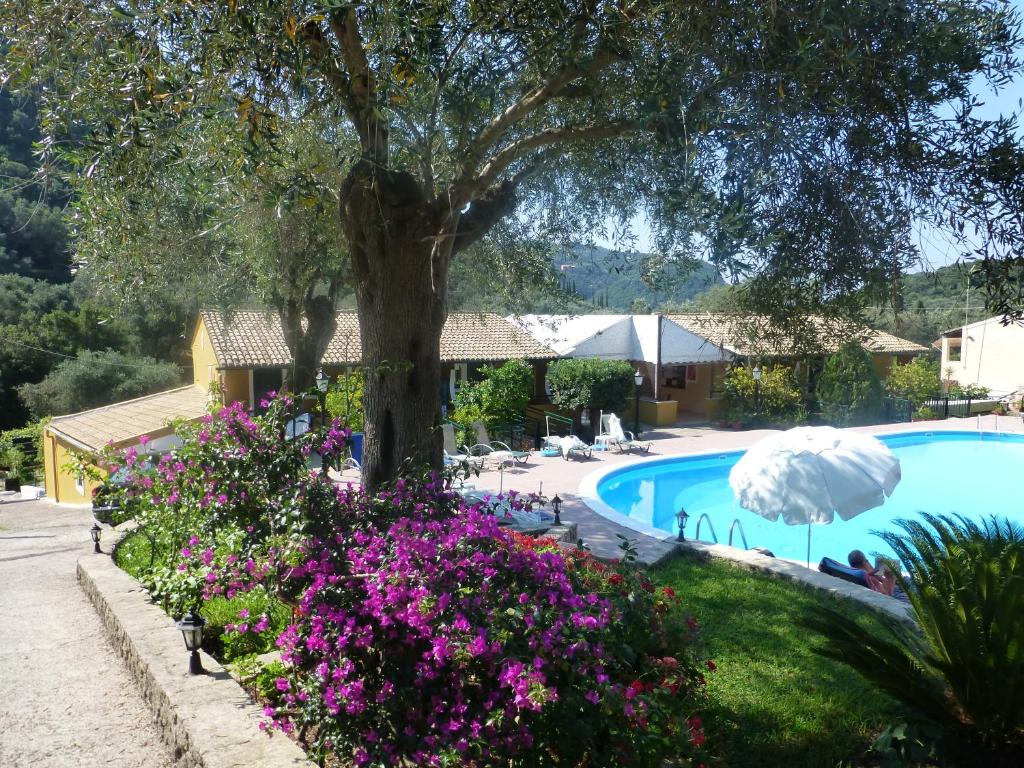 帕莱欧卡斯提撒Aphrodite Studios & Pool的一座种有树木和紫色花卉的游泳池