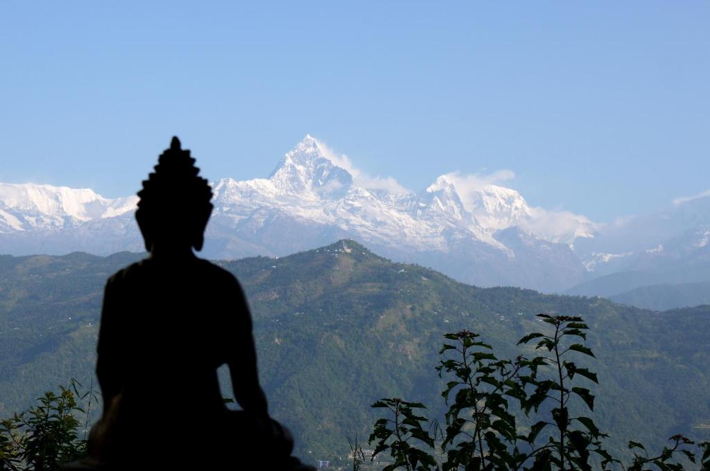 博卡拉和平龙旅馆的相册照片