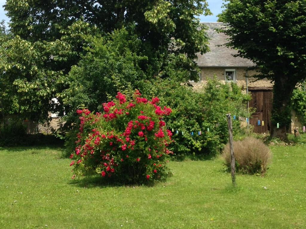 Alluygîte le tilleul de la Fontaine的房屋前的红花丛