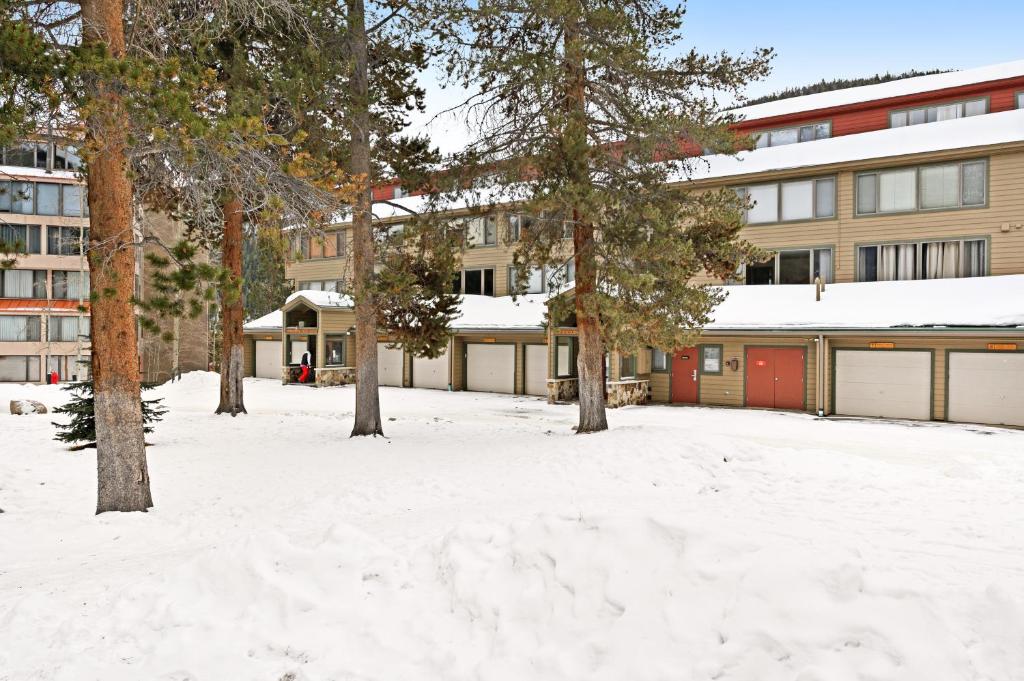 基斯通Montezuma Condominiums的一座有树木和建筑物的雪覆盖的院子