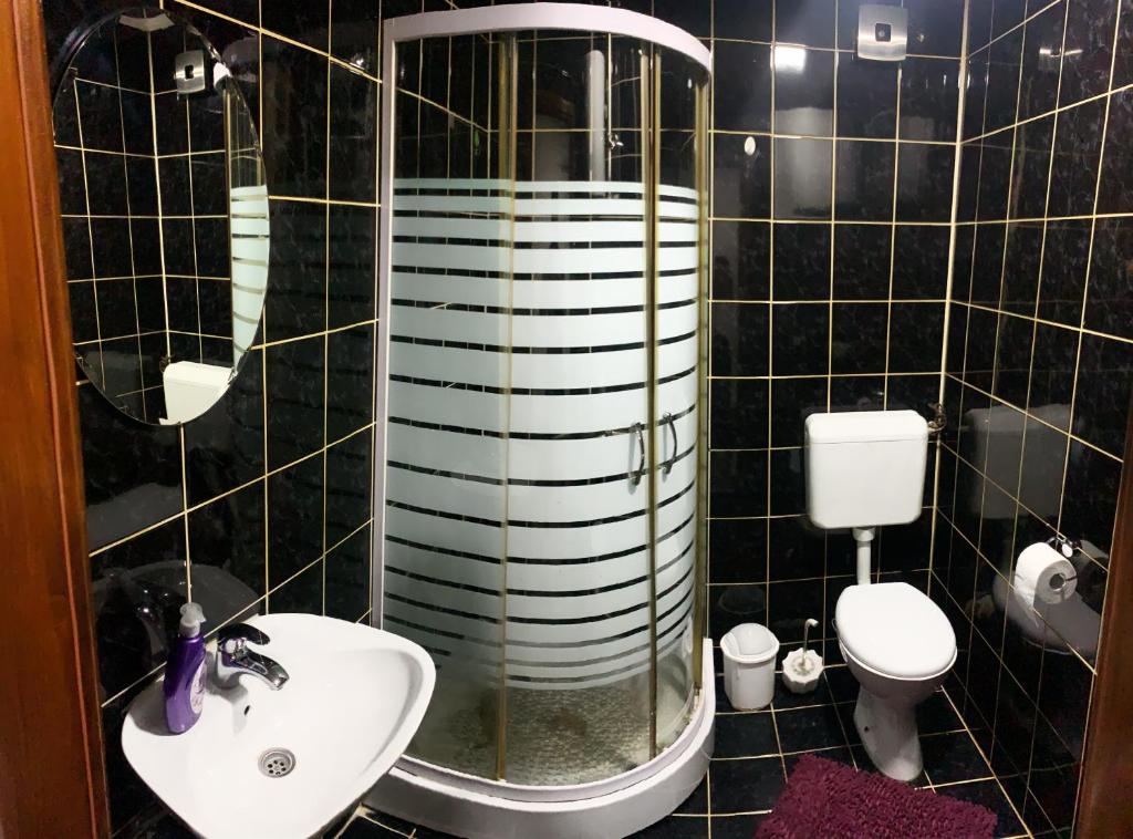 布尔奇科Modern Apartment的一间带水槽、淋浴和卫生间的浴室