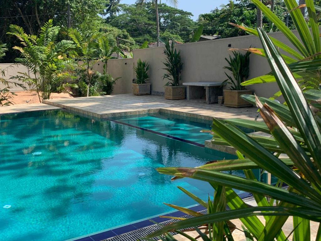 贝鲁沃勒Anveela的庭院里的一个蓝色海水游泳池