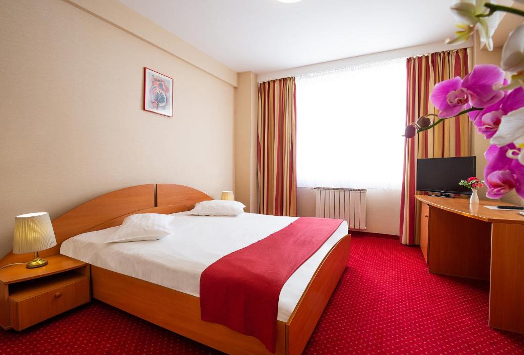 萨图马雷Hotel Dana的酒店客房设有床和窗户。