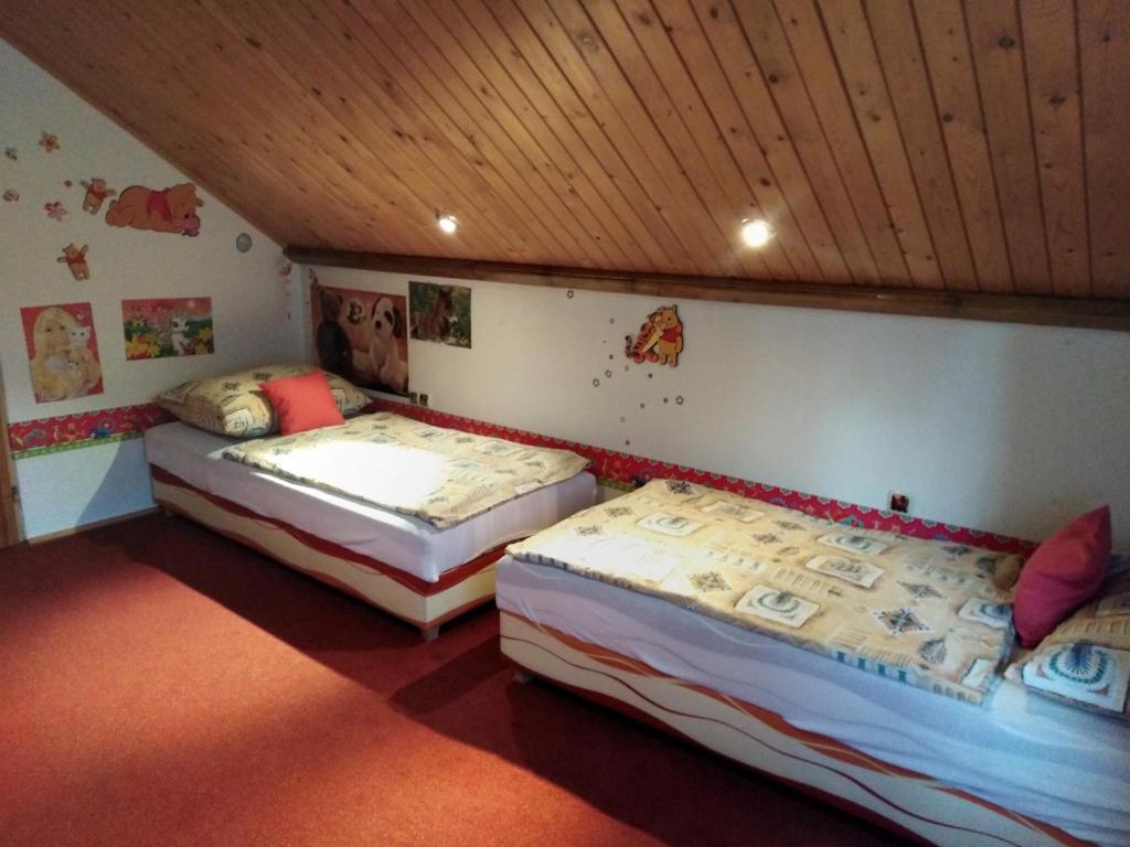 奥斯特拉维采CHALUPA OSTRAVICE的天花板客房内的两张床