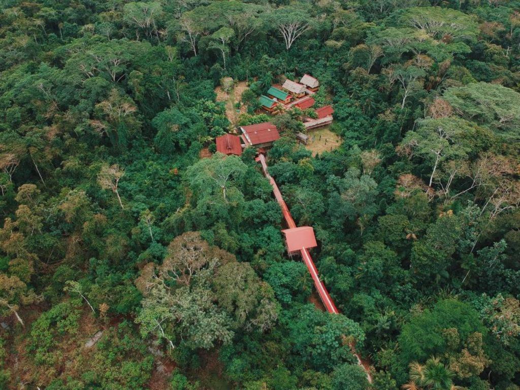 伊基托斯CABAÑA Amazon LODGE的森林中间房屋的空中景观