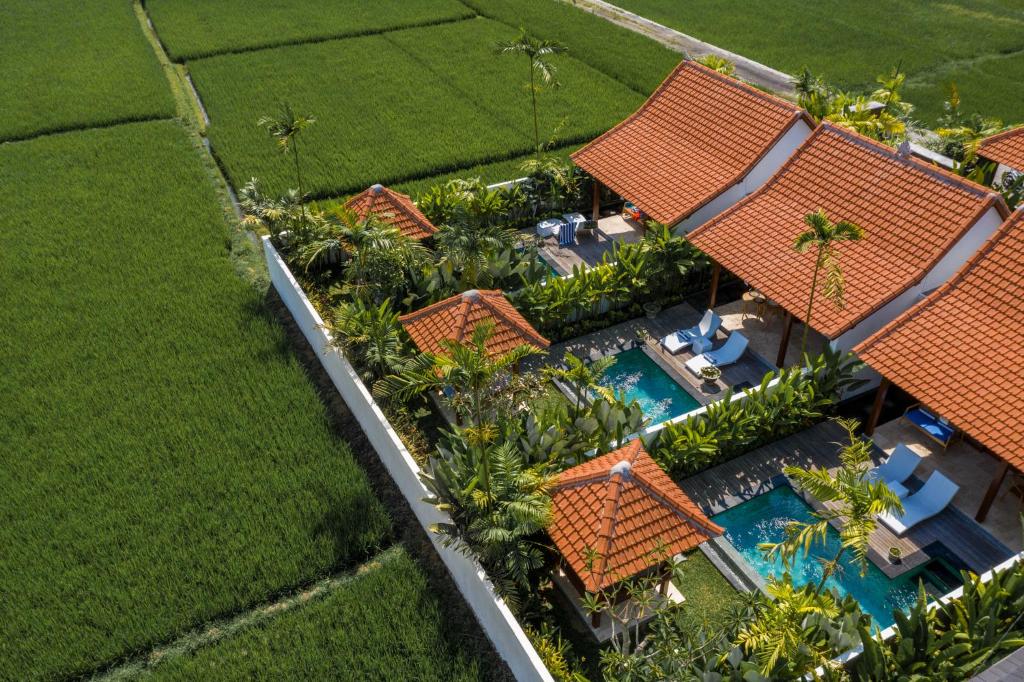 乌布Sawah Villas的享有带游泳池的度假村的空中景致