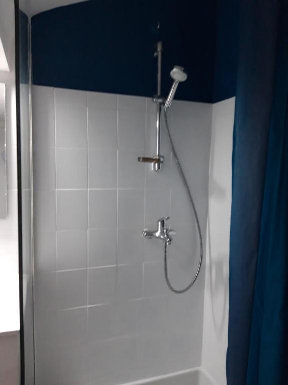 圣吉勒达德吕伊Appartement indépendant的浴室内配有淋浴和头顶淋浴