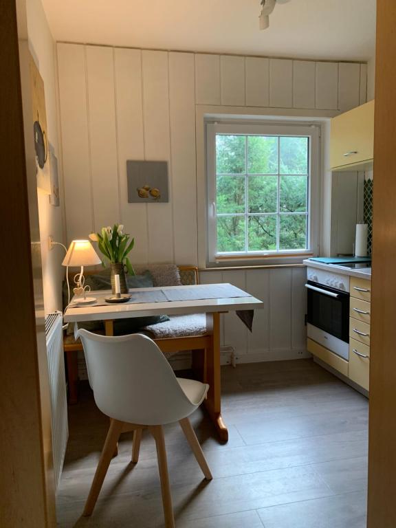翁德洛Loh Apartments - Wald.Natur.Ruhe.的厨房配有桌子、椅子和窗户
