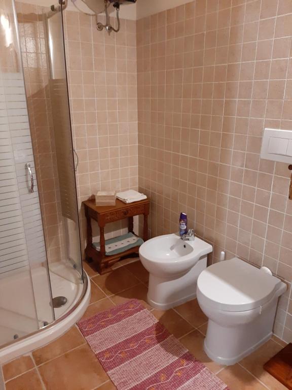 阿塞米尼Villa Iole的一间带卫生间和淋浴的浴室