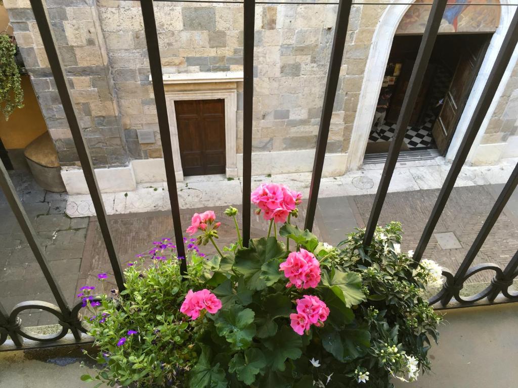 贝加莫MammaMia的窗户上一盆粉红色的鲜花