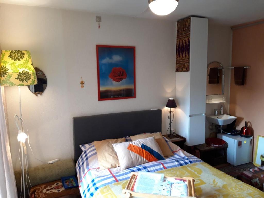 阿姆斯特丹Homey Budget Bedroom的一间卧室配有一张床和一盏灯