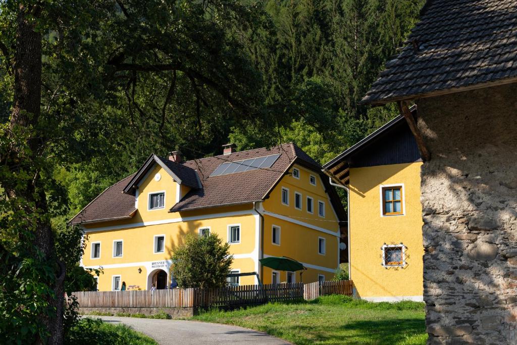 UnterkolbnitzBrunner - Ferienwohnung im Hühnerhotel的黑色屋顶的大型黄色房屋