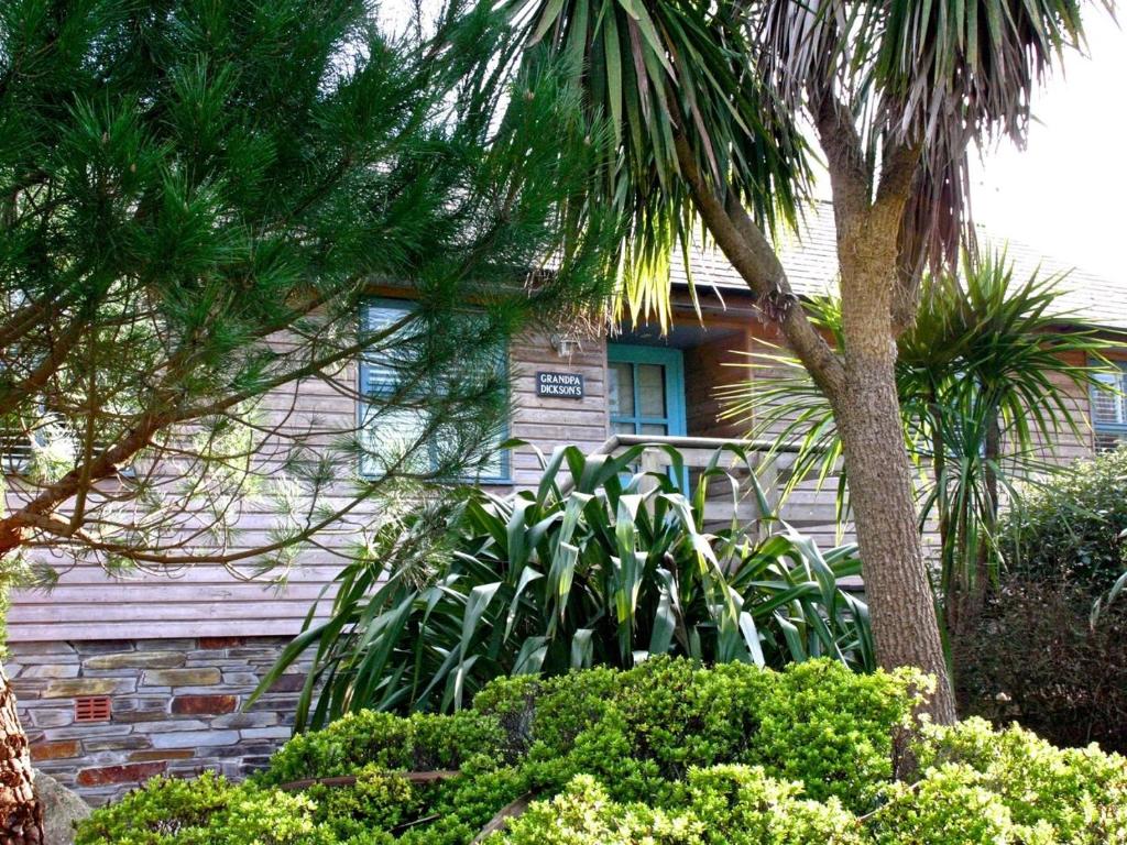 Little PetherickGrandpa Dickson's的前面有棕榈树的房子