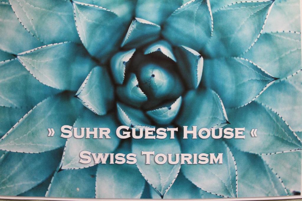 苏尔Suhr Guest House Aarau Switzerland的蓝色旅馆附近瑞士旅游标志