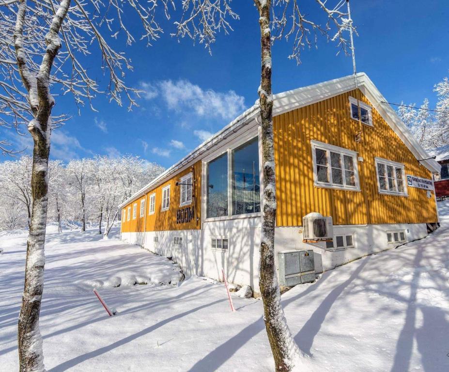 GlomfjordGulbrakka Basecamp的雪中树屋