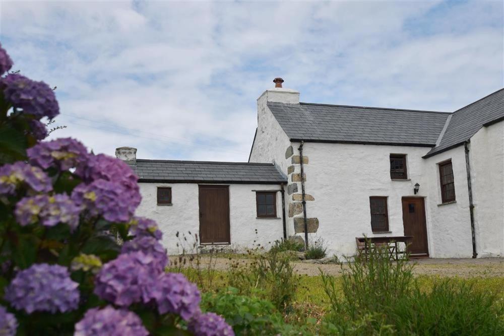 GoodwickPanteurig Cottage的白色的建筑,前面有紫色的花