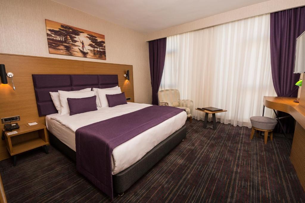 迪亚巴克尔New Garden Hotel的配有一张床和一张书桌的酒店客房